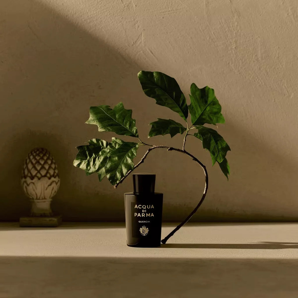 Decant Acqua di Parma Quercia Eau de Parfum